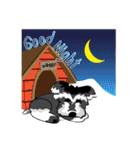 Mini Schnauzer（個別スタンプ：21）