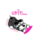 Mini Schnauzer（個別スタンプ：23）