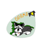 Mini Schnauzer（個別スタンプ：24）