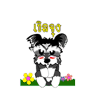 Mini Schnauzer（個別スタンプ：25）