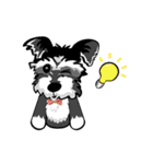 Mini Schnauzer（個別スタンプ：26）