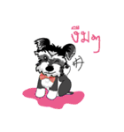 Mini Schnauzer（個別スタンプ：27）