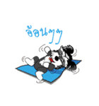 Mini Schnauzer（個別スタンプ：28）