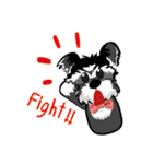 Mini Schnauzer（個別スタンプ：30）