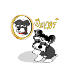 Mini Schnauzer（個別スタンプ：31）