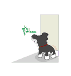 Mini Schnauzer（個別スタンプ：37）