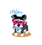Mini Schnauzer（個別スタンプ：38）