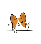 Corgi Dog KaKa - Cutie（個別スタンプ：3）