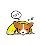 Corgi Dog KaKa - Cutie（個別スタンプ：9）