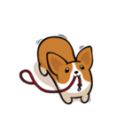 Corgi Dog KaKa - Cutie（個別スタンプ：15）