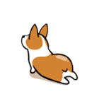 Corgi Dog KaKa - Cutie（個別スタンプ：23）