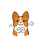 Corgi Dog KaKa - Cutie（個別スタンプ：24）