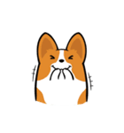 Corgi Dog KaKa - Cutie（個別スタンプ：28）