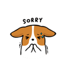 Corgi Dog KaKa - Cutie（個別スタンプ：31）