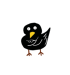 Little Blackbird small point of（個別スタンプ：6）