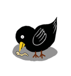 Little Blackbird small point of（個別スタンプ：20）