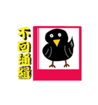 Little Blackbird small point of（個別スタンプ：33）