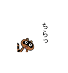 えがおなたぬき（個別スタンプ：17）