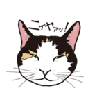 愉快なニャンコの仲間達02（個別スタンプ：7）