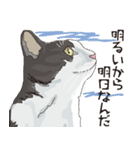 愉快なニャンコの仲間達02（個別スタンプ：10）