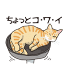 愉快なニャンコの仲間達02（個別スタンプ：11）