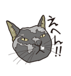 愉快なニャンコの仲間達02（個別スタンプ：13）