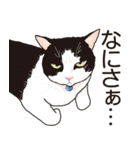 愉快なニャンコの仲間達02（個別スタンプ：18）