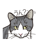 愉快なニャンコの仲間達02（個別スタンプ：20）