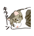 愉快なニャンコの仲間達02（個別スタンプ：22）