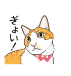 愉快なニャンコの仲間達02（個別スタンプ：28）