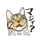 愉快なニャンコの仲間達02（個別スタンプ：29）