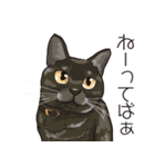 愉快なニャンコの仲間達02（個別スタンプ：30）