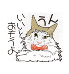 愉快なニャンコの仲間達02（個別スタンプ：36）