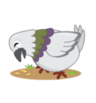 The Pigeon (Piraab)（個別スタンプ：5）