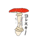 ちゃんウサ8 ～for きのこ～（個別スタンプ：37）