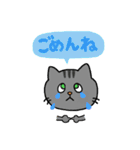猫のスタンプ第2弾（個別スタンプ：22）