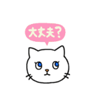 猫のスタンプ第2弾（個別スタンプ：25）