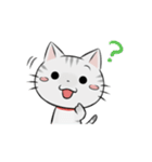 アメショのねこ！（個別スタンプ：2）