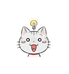 アメショのねこ！（個別スタンプ：3）
