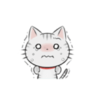 アメショのねこ！（個別スタンプ：4）