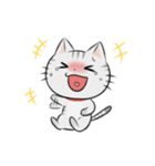 アメショのねこ！（個別スタンプ：9）