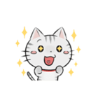 アメショのねこ！（個別スタンプ：10）
