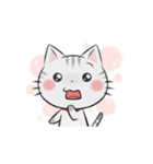 アメショのねこ！（個別スタンプ：12）
