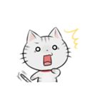 アメショのねこ！（個別スタンプ：13）