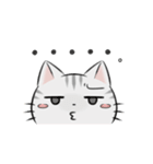 アメショのねこ！（個別スタンプ：15）