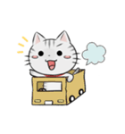 アメショのねこ！（個別スタンプ：20）