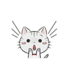 アメショのねこ！（個別スタンプ：24）