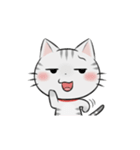 アメショのねこ！（個別スタンプ：33）