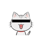 アメショのねこ！（個別スタンプ：35）