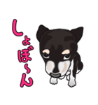 黒柴っち（個別スタンプ：25）